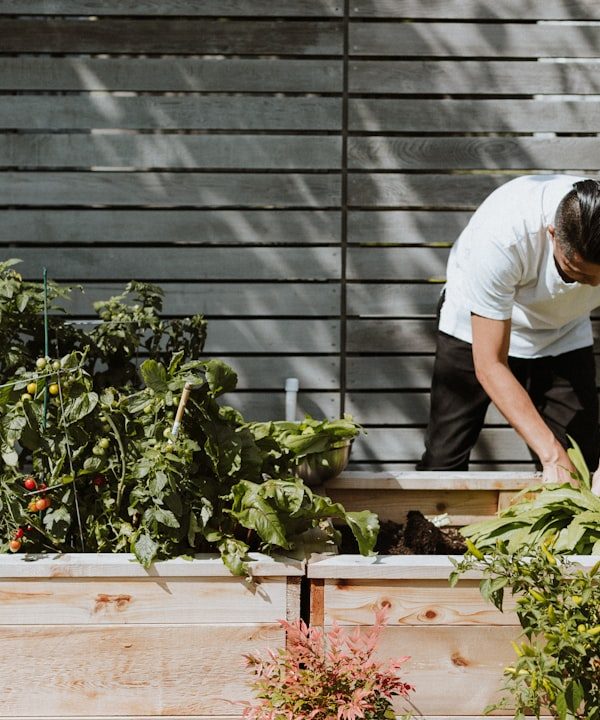 The Power of Home Gardening: A Path to Safer and Healthier Eating